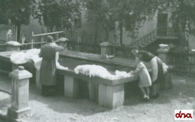 Il miraggio degli elettrodomestici