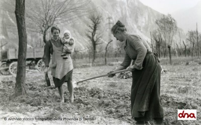 Istruzione (poca) e lavoro (faticoso) per le trentine degli anni Cinquanta