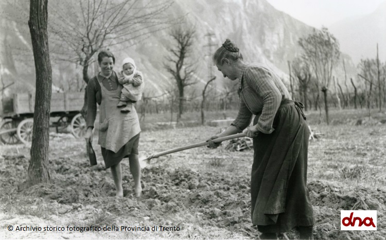 Istruzione (poca) e lavoro (faticoso) per le trentine degli anni Cinquanta
