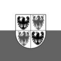 statuto