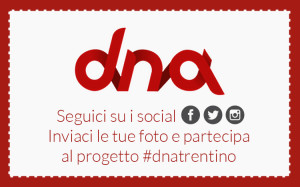 inadeguatezza