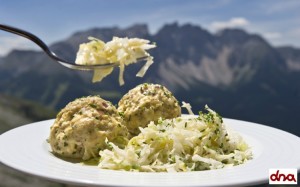 Ricette della tradizione trentina