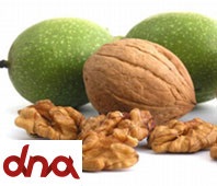 juglans_regia_frutto_completo_rid