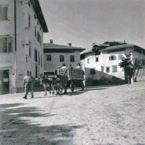 bicicletta