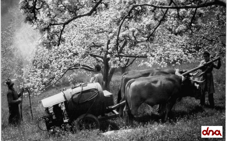 L’agricoltura negli anni ’60