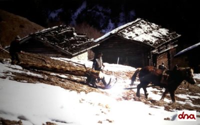 L’agricoltura negli anni ’50