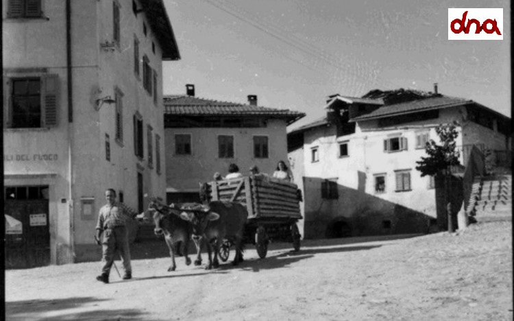 Vivere in montagna e lo sviluppo della periferia – DNA Lab